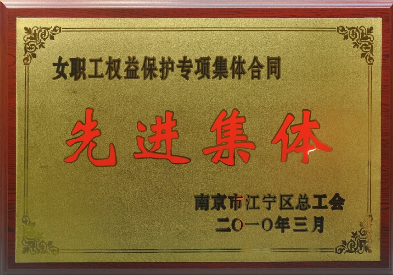 2009年度江宁区女职工权益保护专项集体合同先进集体